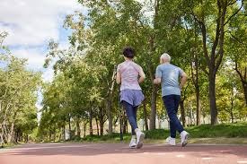 菅野智之在日职棒开季创下 13 连胜纪录，刷新联盟历史